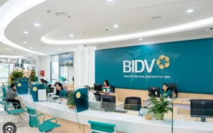 Lo dự án bất động sản "đắp chiếu" nếu nợ xấu gia tăng? - Ảnh 1.